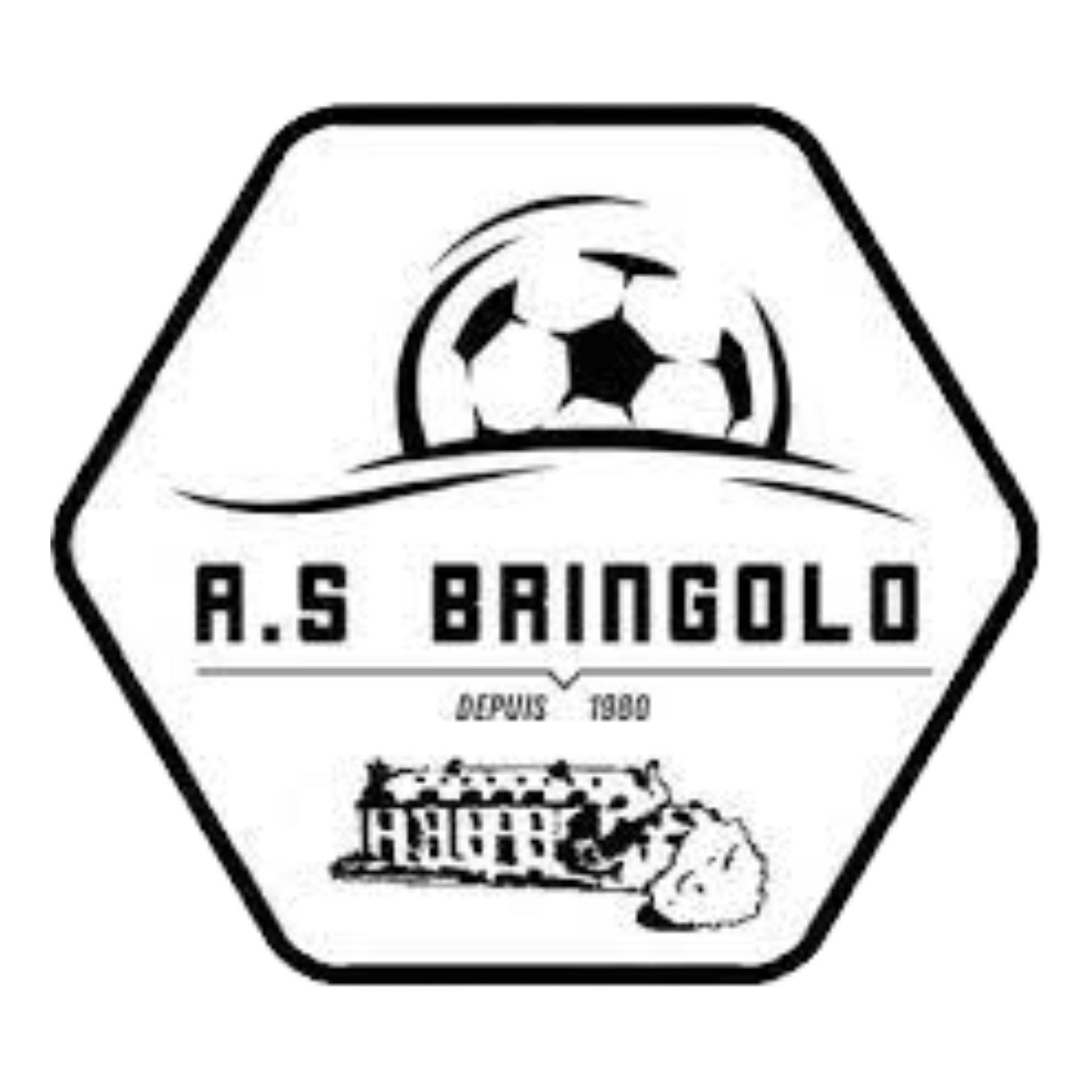 Bringolo
